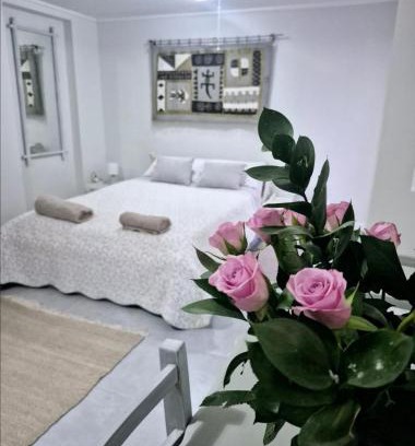 Malmesbury Apartment | Klein Plaasjapie apartment- Hebron Guest Farm