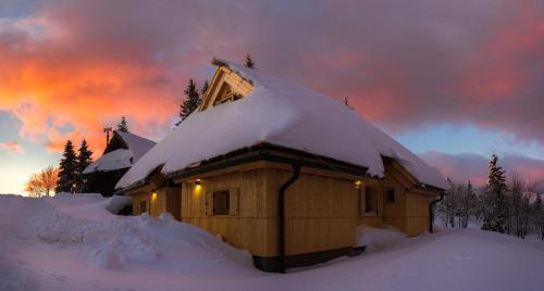 Kamnik Ski Chalet | Koča Žafran - Velika planina