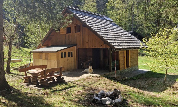 Bled Cabin | Koča v gozdu, Forest house near Bled