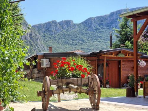 Sicevo House | Konak -Guest house -Ramonda Serbika