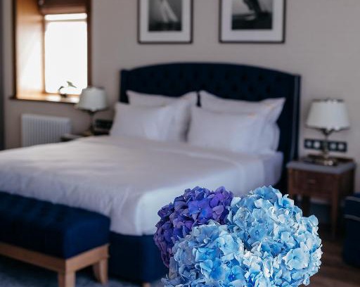 Kostroma Hotel | Kostroma Hotel Golden Ring