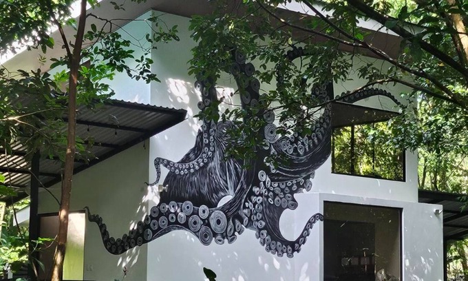 Agujas House | Kraken Cabin-escape in the jungle, abundance of wildlife, walk to Golfito Bay.