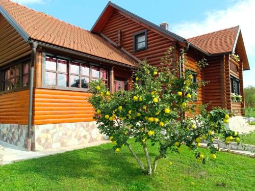 Otocac House | Kuća za odmor Marta