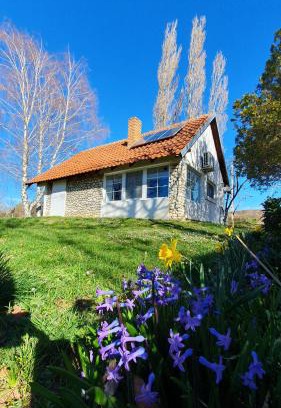 Petrovaradin House | Kućerak Višnja