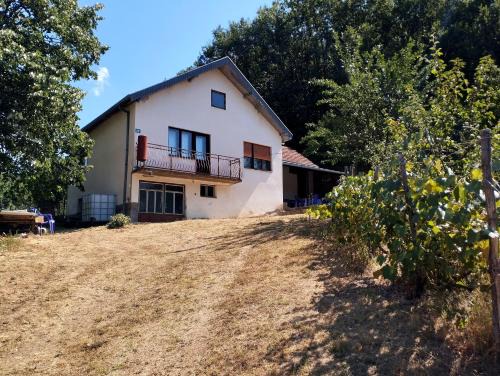 Svrljig House | Kuca Denic