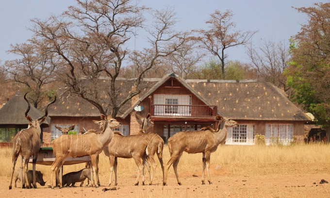 Waterberg Cabin | Kudumela Bush Lodge
