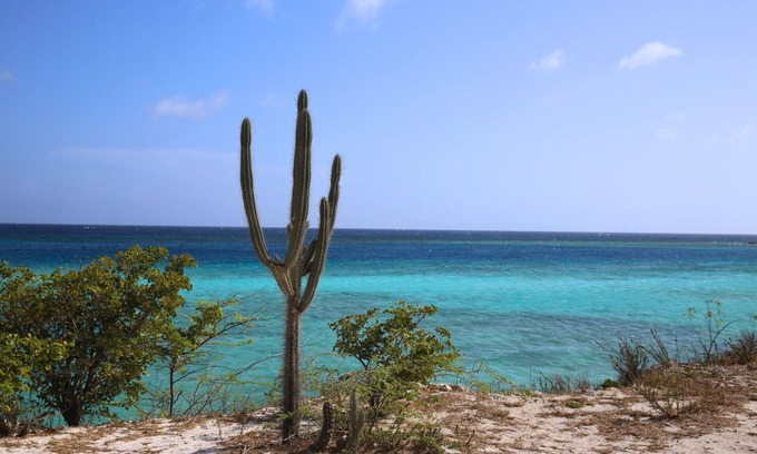 Pos Chiquito Apartment | Kukwisa Retreat - 2BR Apartment