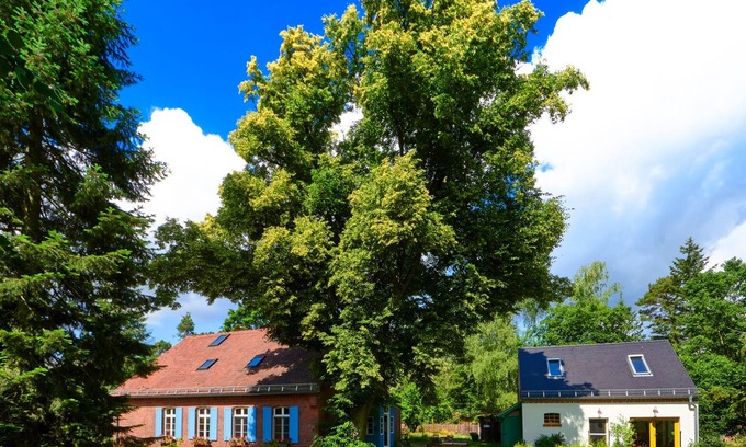 Buckautal House | Kulturhof Dretzen - Traumhaft Beherbergt