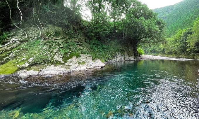 Tanabe House | Kumano Shikitei Old private house rental villa/Tanabe Wakayama