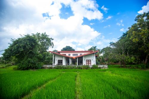 Kimbissa House | Kumbura Homestay