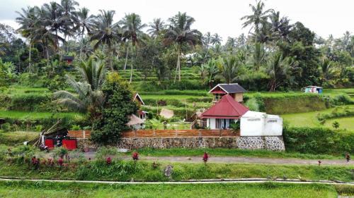 Tetebatu Hotel | kunang kunang