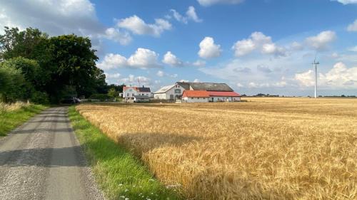Lilla Beddinge House | Kvarnviks Gård Close to Sea & Charming Country Stay