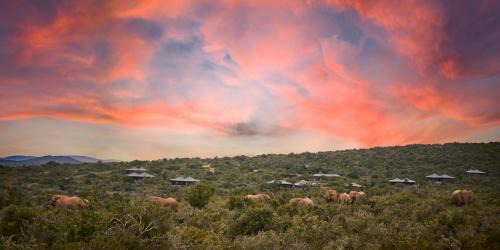 Makana House | Kwandwe Private Game Reserve - Ecca Lodge