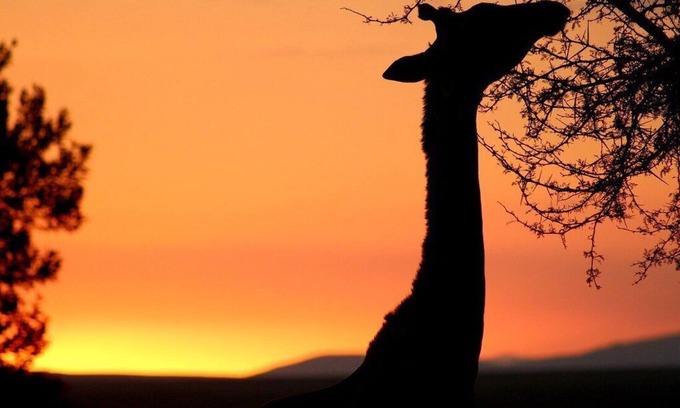 Swellendam Cottage | Kwetu Guest Farm