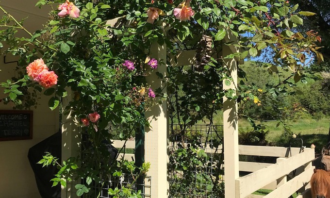 Geeveston Cottage | Kymmik Cottage - A slice of Tasmanian paradise