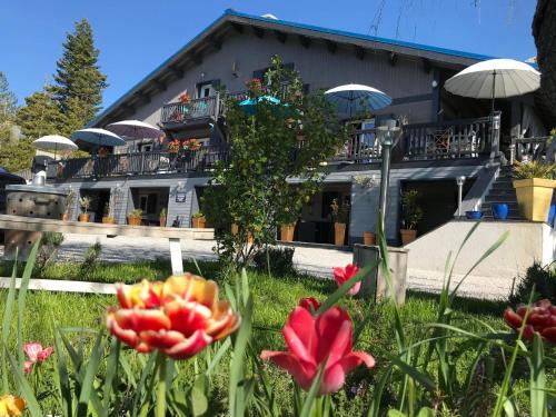 Caille Bed & Breakfast | L'Alpen Roc