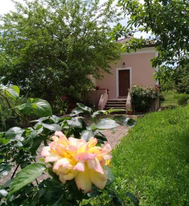 Viggiano Bed & Breakfast | L'Antico Gelso