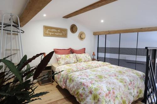 Centre Ville Apartment | L'appartement du 71 C