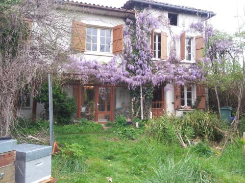 Eauze House | l'estanquet
