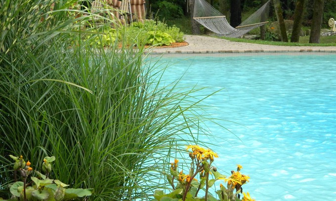 Saint-Eustache Hotel | L'Oasis de l'Île, Refuge Urbain
