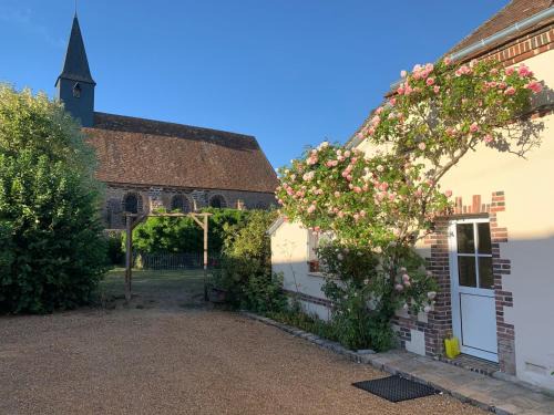 Billancelles House | L'Oliviade