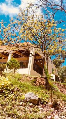 Le Moule Villa | La Bastida : villa avec piscine