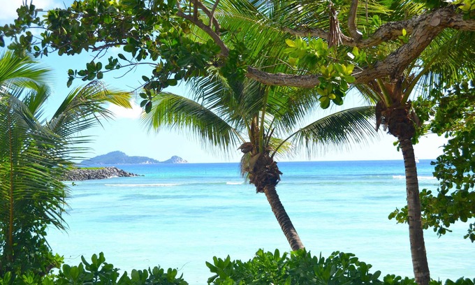Silhouette Island Cabin | La Belle Tortue