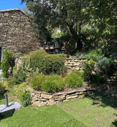 Saint-Vincent-d'Olargues House | La Bergerie