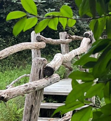 Bassussarry Bed & Breakfast | La Cabane le Cœur de Xanet