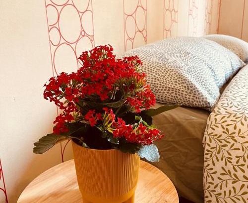 Rapallo Apartment | La Caravella apartament