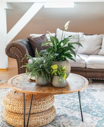 Willing Apartment | La Casa Bonita