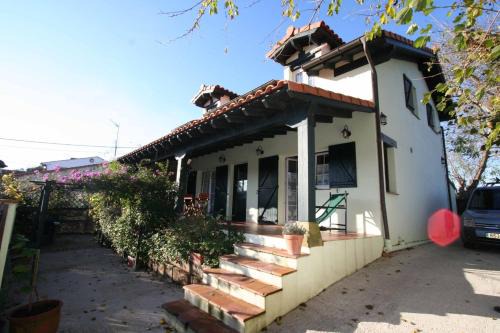 Pando House | La Casa de Gene