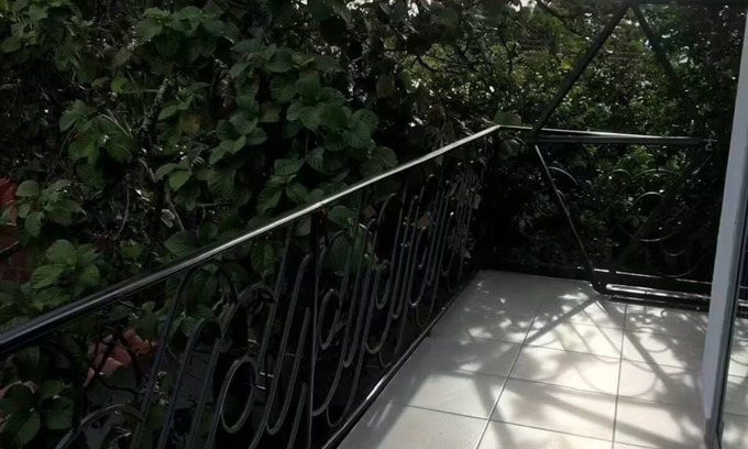 Armero Apartment | La casa del árbol