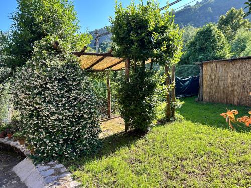 Borgo a Mozzano House | La Casa del Borgo