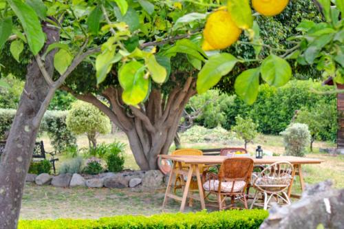 Torrenova House | La Casa di Lina - Capo d'Orlando, casa con ampio giardino
