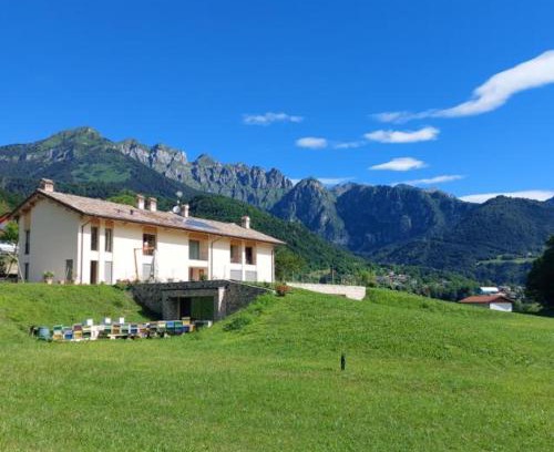 Pedavena House | La casa di Maia - Alloggio Agrituristico