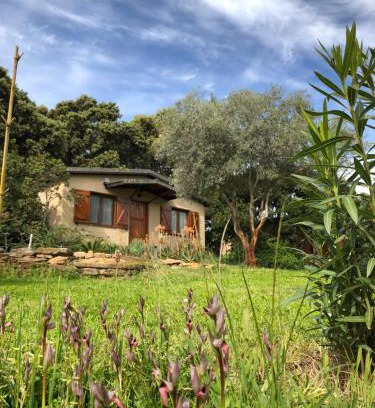 Casas de Belvis House | La Cerca Del Alcornoque