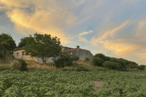 Salles-Lavalette House | La Chaumière