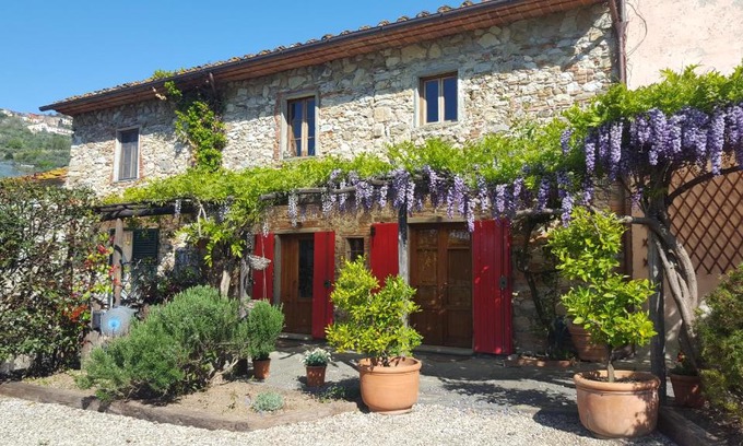 Pieve a Nievole House | La Corte del Falco