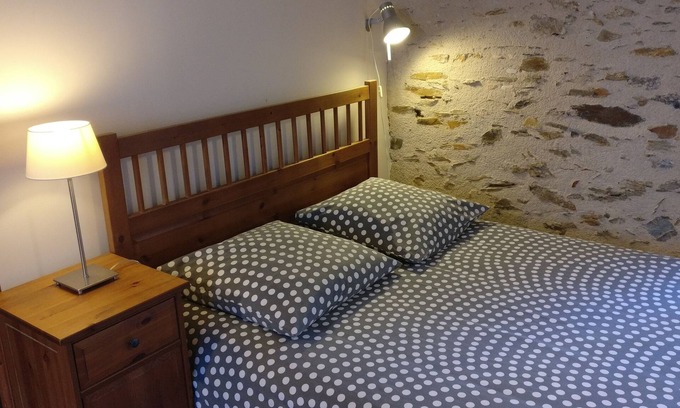 Downtown Angers Apartment | La Cour - Nice quiet apartment in town center, free parking