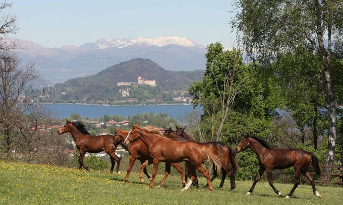 Dormelletto Bed & Breakfast | La Cucchetta