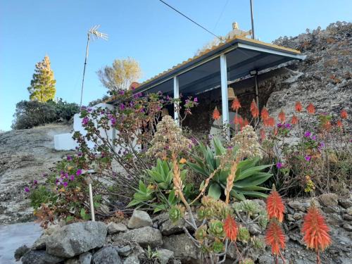 Artenara House | La Cuevita de Hilario