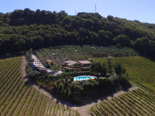 Montefiore dell'Aso Apartment | La Dolce Vallata