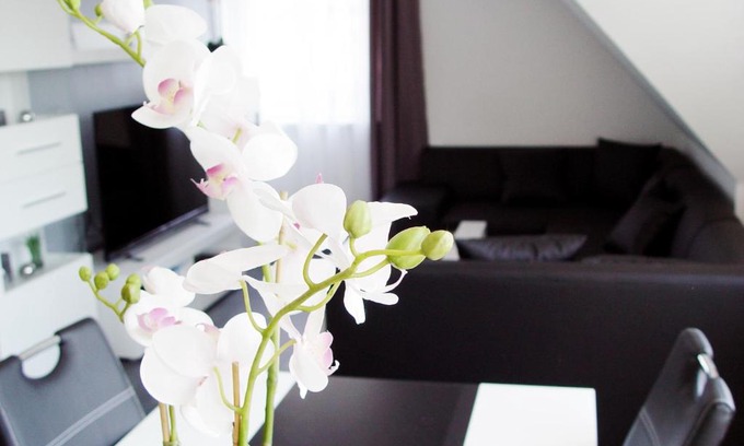 Lotte Apartment | La Domus Premium Osnabrück Lotte