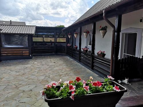 Ocna Sugatag House | La Dory