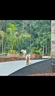 Puerto Leoni House | La Escondida