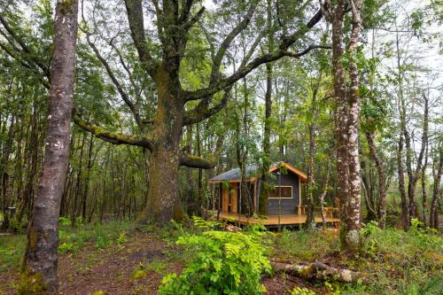 Molco Cabin | La Escondida Pucon
