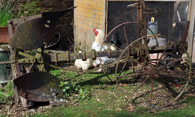 Evry Other | La Ferme de Flo' - Cochon - Double ou Twin Confort