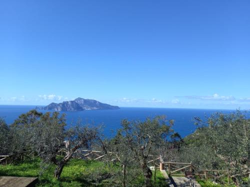 Termini House | La finestra su Capri