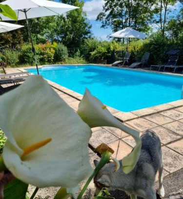 Sainte-Severe Bed & Breakfast | La Fontenelle Chambres d'Hôtes